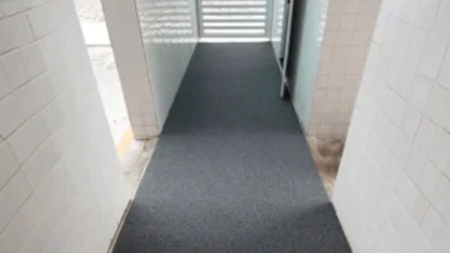 Imagem de apoio do artigo sobre Aprenda mais sobre as passadeiras